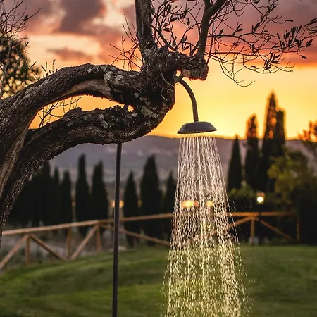 Le Fraine - & Olives Glamping Santa Luce