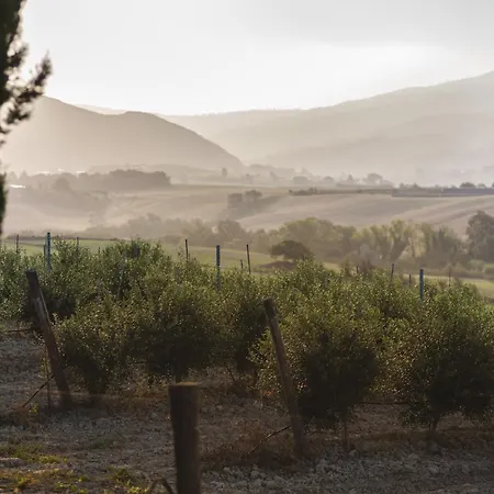 Le Fraine - & Olives Glamping *