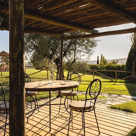 Le Fraine - & Olives Glamping Farm stay Santa Luce
