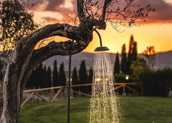 Le Fraine - & Olives Glamping سانتا لوتشي