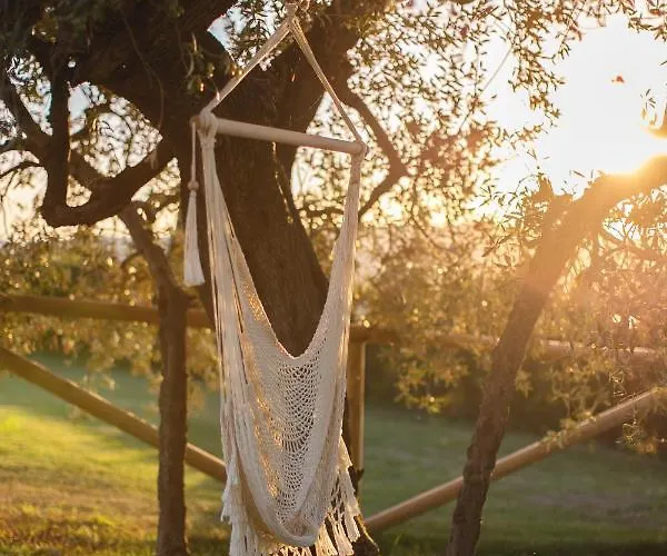 Le Fraine - & Olives Glamping